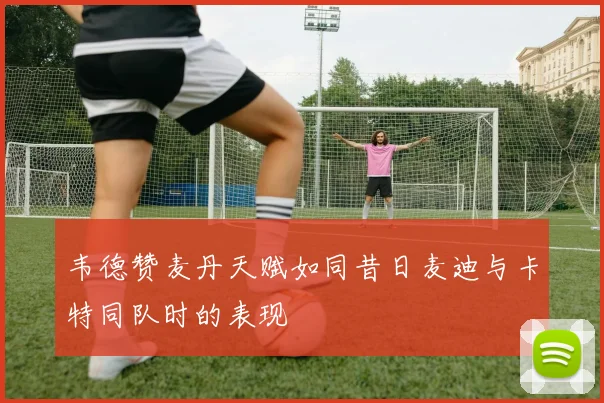 韦德赞麦丹天赋如同昔日麦迪与卡特同队时的表现