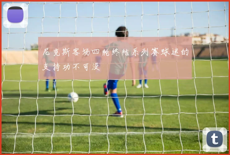 尼克斯客场四轮终结系列赛球迷的支持功不可没